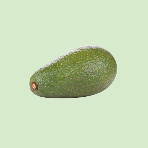 Avocado, Large