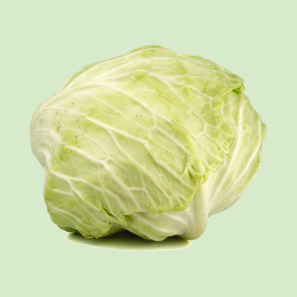 Cabbage