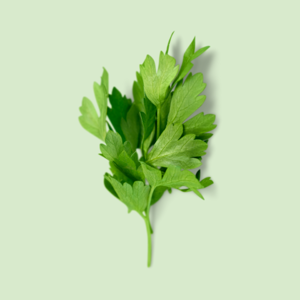 Parsley