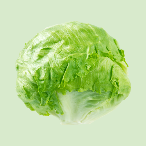 Lettuce, Iceberg