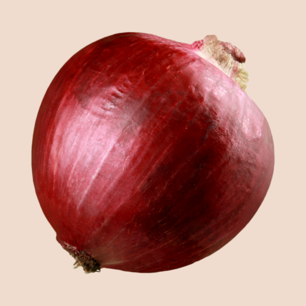 Onion, Red