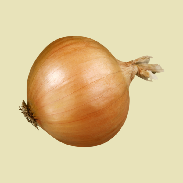 Onion, Yellow