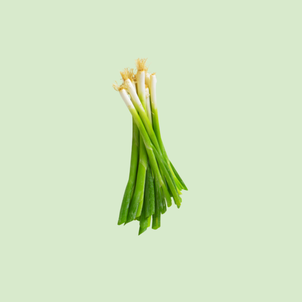 Spring Onion, Green