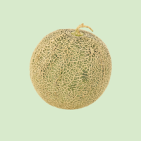 Cantaloupe